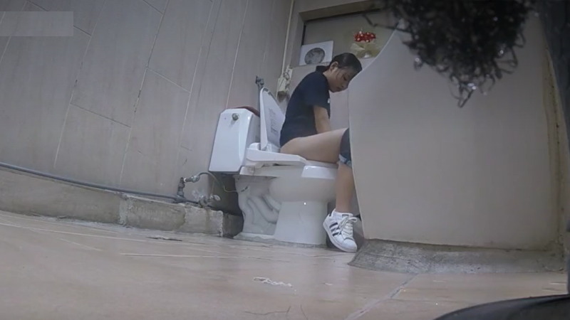 女性達のトイレをこっそり撮影したからじっくり見て下さいｗｗｗ