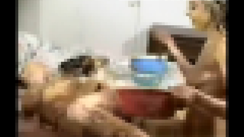 身体にチョコレートとかを塗りあう裸の女子たちがコチラｗｗｗ