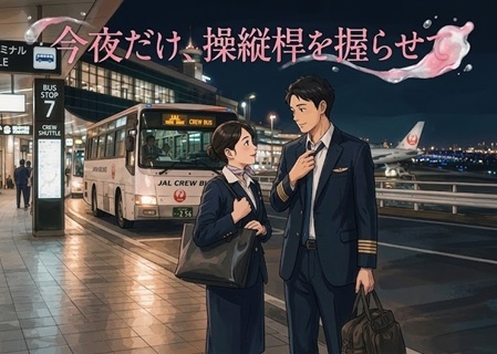 今夜だけ、操縦桿を握らせて