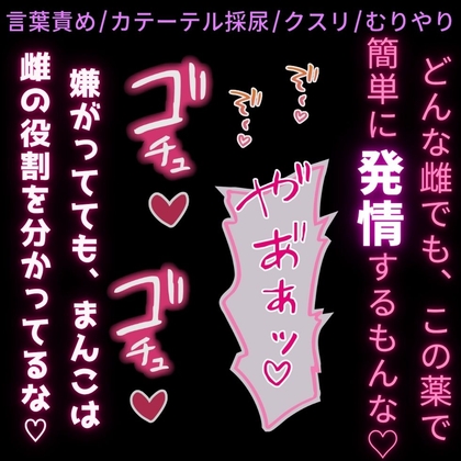 【言葉責め/カテーテル採尿/媚薬】雌まんこ使われて快楽堕ち♡〜尊厳破壊されまくって使われる雌まんこ♡〜
