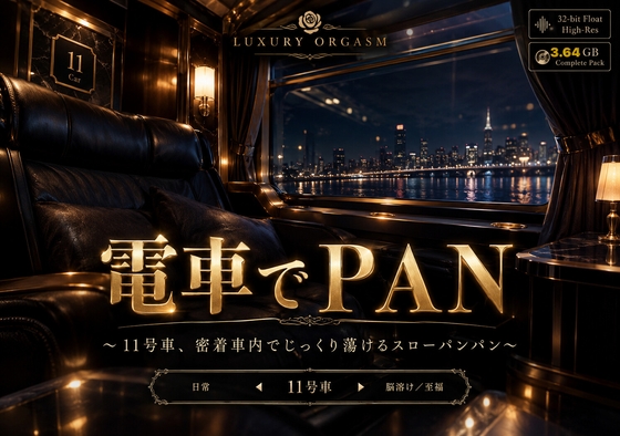『電車でPAN』 〜11号車、密着車内でじっくり蕩けるスローパンパン〜 ラグジュアリーオーガズム