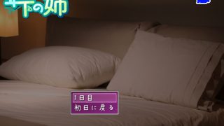 【新着同人ゲーム】年下の姉（ヒト）総集編II