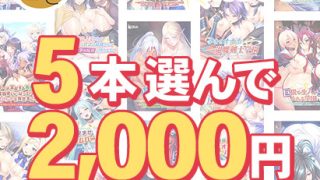 【新着エロゲー】【まとめ買い】【動画版】Norn/Miel 2025年初売り5本選んで2，…