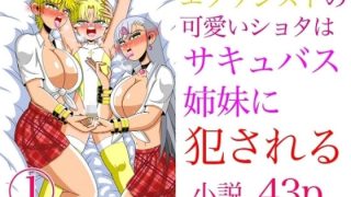 【新着同人誌】ノベル版・エクソシストの可愛いショタはサキュバス姉妹に犯●れる  1巻
