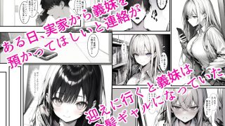 【新着同人誌】ギャル好きの俺が4年ぶりに義妹と再会したらギャル妹になっていた…