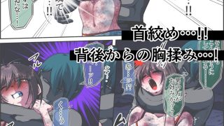 【新着同人誌】フィオラ クライシスVI 〜続く絶望の夜…絶体絶命の光！〜