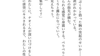 【新着同人誌】つかまったら即生ハメ3P！豪華客船で隠れ鬼ごっこ〜イケメンふたりの専属ウサ…
