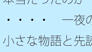【新着同人誌】【無料】本当だったのか・・・・  一夜の小さな物語と先読みできるか