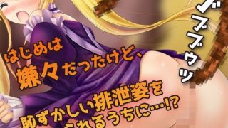 【新着同人ゲーム】【Android版】おもらし排泄〜可愛い排便メイドの羞恥なお仕事〜オナニー…