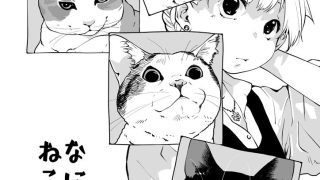 【新着同人誌】なにおもうねことひと