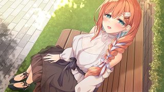 【新着エロゲー】妹（姉）は兄（弟）の性癖を歪ませたい！