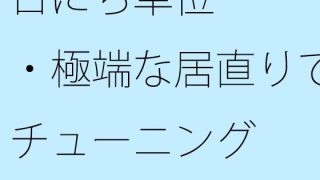 【新着同人誌】日にち単位・・・・極端な居直りでチューニング