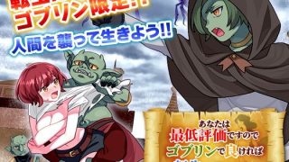 【新着同人ゲーム】あなたは最低評価ですのでゴブリンで良ければ転生できますけど…