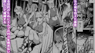 【新着同人誌】ELVEN BIRTH
