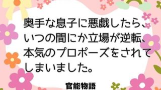 【新着同人誌】奥手な息子に悪戯したら、いつの間にか立場が逆転、本気のプロポーズをされてし…