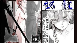 【新着同人誌】性域侵犯