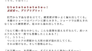 【新着同人誌】垂れ流しの恥辱処刑エルフ姫公開斬首