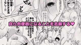 【新着同人誌】異世界輪●総集編〜肉便器ちゃん、それぞれの幸福論〜