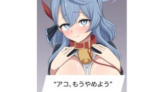 【新着同人誌】アコ、もうやめよう。