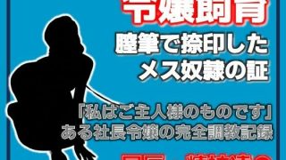 【新着同人誌】銀の首輪 ―社長令嬢・桜庭ちひろの調教記録―