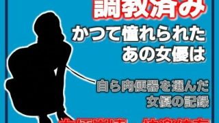 【新着同人誌】開発された女優 〜快楽に堕ちた肉便器〜