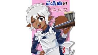 【新着同人誌】前衛職のエルフ3