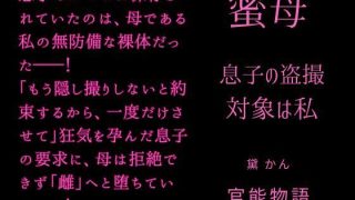 【新着同人誌】蜜母 〜息子の盗撮対象は私〜