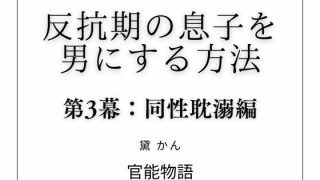【新着同人誌】反抗期の息子を男にする方法 第3幕:同性耽溺編