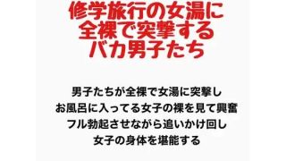 【新着同人誌】修学旅行の女湯に全裸で突撃するバカ男子たち
