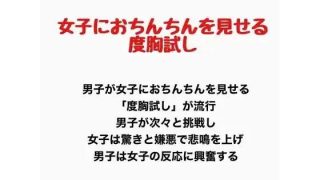 【新着同人誌】女子におちんちんを見せる度胸試し