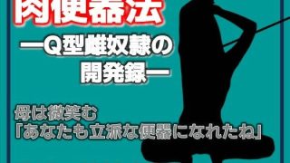 【新着同人誌】肉便器法 —Q型雌奴●の開発録—