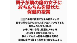 【新着同人誌】男子が隣の席の女子におちんちんを見せた保健の授業