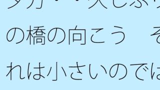 【新着同人誌】夕方・・久しぶりの橋の向こう  それは小さいのではないかという視点  凝縮…