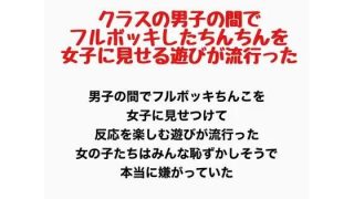 【新着同人誌】クラスの男子の間でフルボッキしたちんちんを女子に見せる遊びが流行った