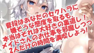 【新着同人ゲーム】妄想射精クラブ☆僕の専属性処理メイドさん！