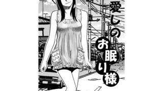【新着同人誌】愛しのお眠り様