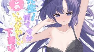 【新着同人誌】先生！何ですかこのいかがわしい下着は！