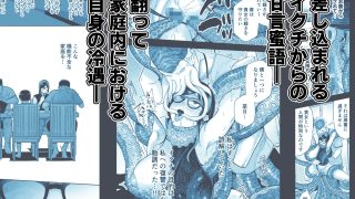 【新着同人誌】魔ママ狩リ2  元魔法少女のママ、悪堕ち触手交接