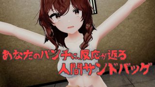 【新着同人ゲーム】【VR】少女を壊れるまで殴り続けるだけのVRゲーム