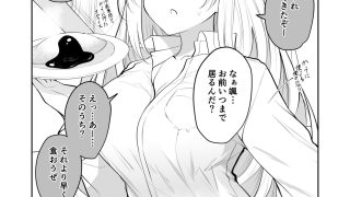 【新着同人誌】いつの間にかうちに住みついてるTSっ娘。