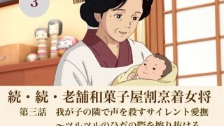 【新着同人誌】続・続老舗和菓子屋割烹着女将  第三話  我が子の隣で声を殺すサイレント愛…