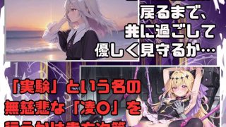 【新着同人ゲーム】アルカナシャドウ・アムネシア