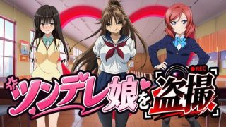 【新着同人ゲーム】【有名ツンデレ娘を盗撮】〜王道のパンチラを求めて〜