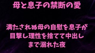 【新着同人誌】満たされぬ母の自慰を息子が目撃し、理性を捨てて中出しまで溺れた夜