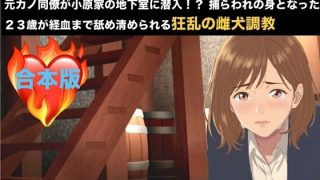 【新着同人誌】【NTRお仕置き・続編】元カノ同僚が小原家の地下室に潜入！？ 捕らわれの身…