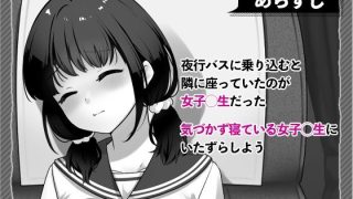 【新着同人ゲーム】夜行バスで隣に座った学生を痴◯