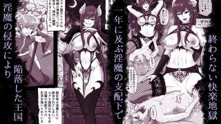 【新着同人誌】サキュバス城攻略 （1）淫魔に支配された王国