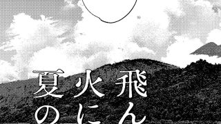 【新着同人誌】飛んで火にいる夏の虫1