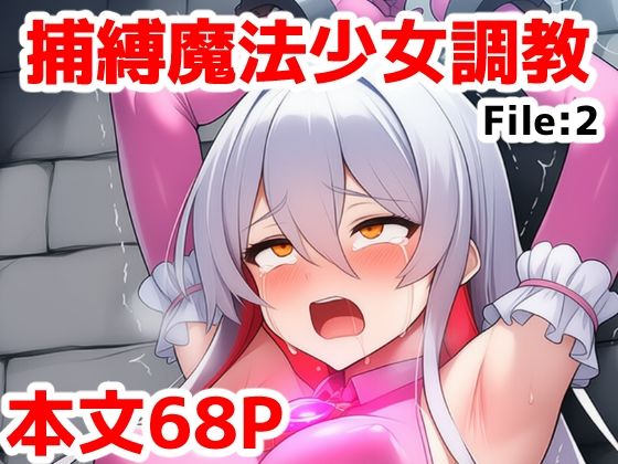 【50%OFF】 捕縛魔法少女調教File:2〜捕まった魔法少女がイキ地獄調教で悪堕ちする話  saltワークス