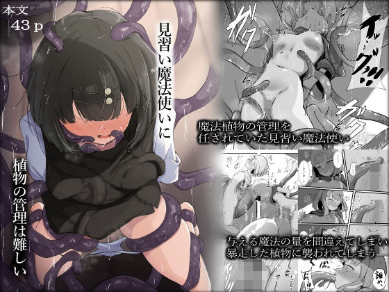 見習い魔法使いに植物の管理は難しい  らんぺる